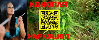 каннабис Новодвинск