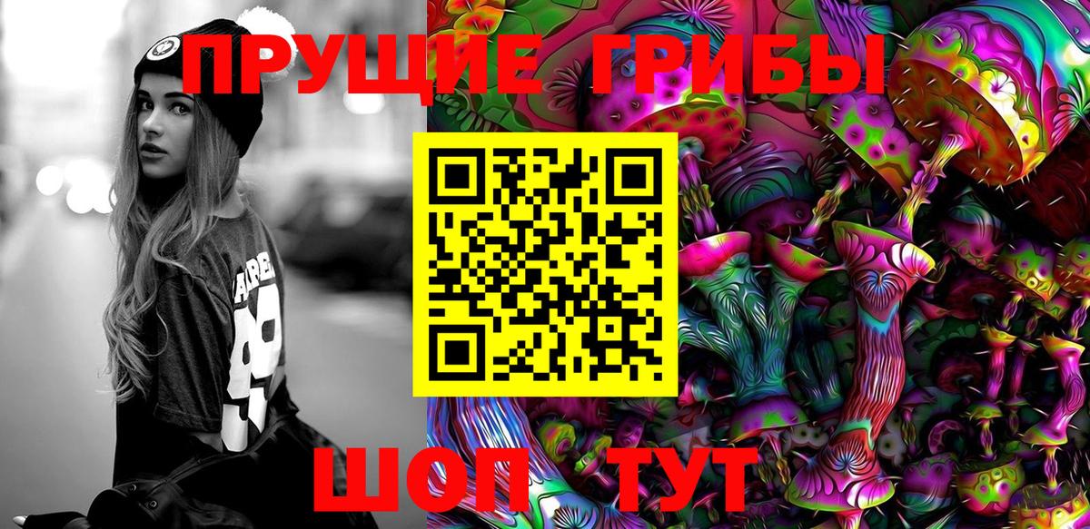 Псилоцибиновые грибы Cubensis  Вход с VPN  Псилоцибиновые грибы мицелий  Тюмень 